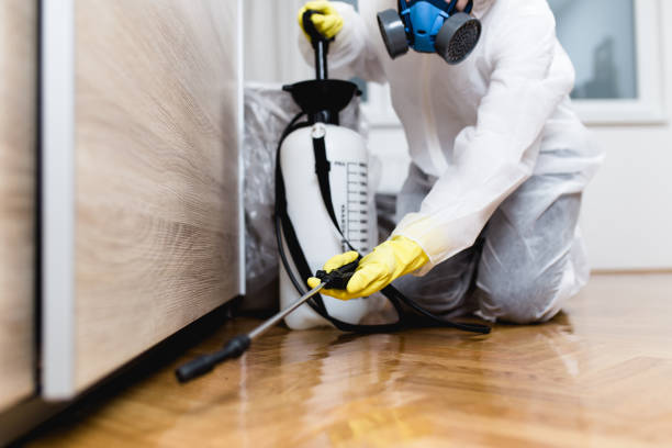 Best Mosquito Control Services  in Navasota, TX