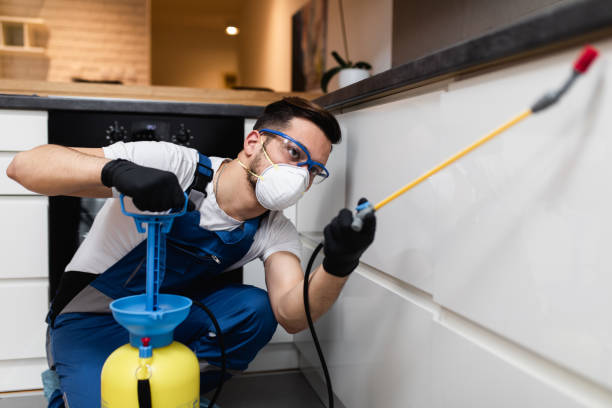 Best Pest Inspection Near Me  in Navasota, TX