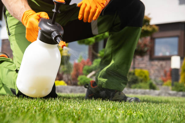 Best Pest Removal Services  in Navasota, TX