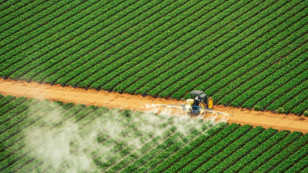 Best Best Pest Control Companies  in Navasota, TX